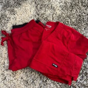 Red small greys anatomy set